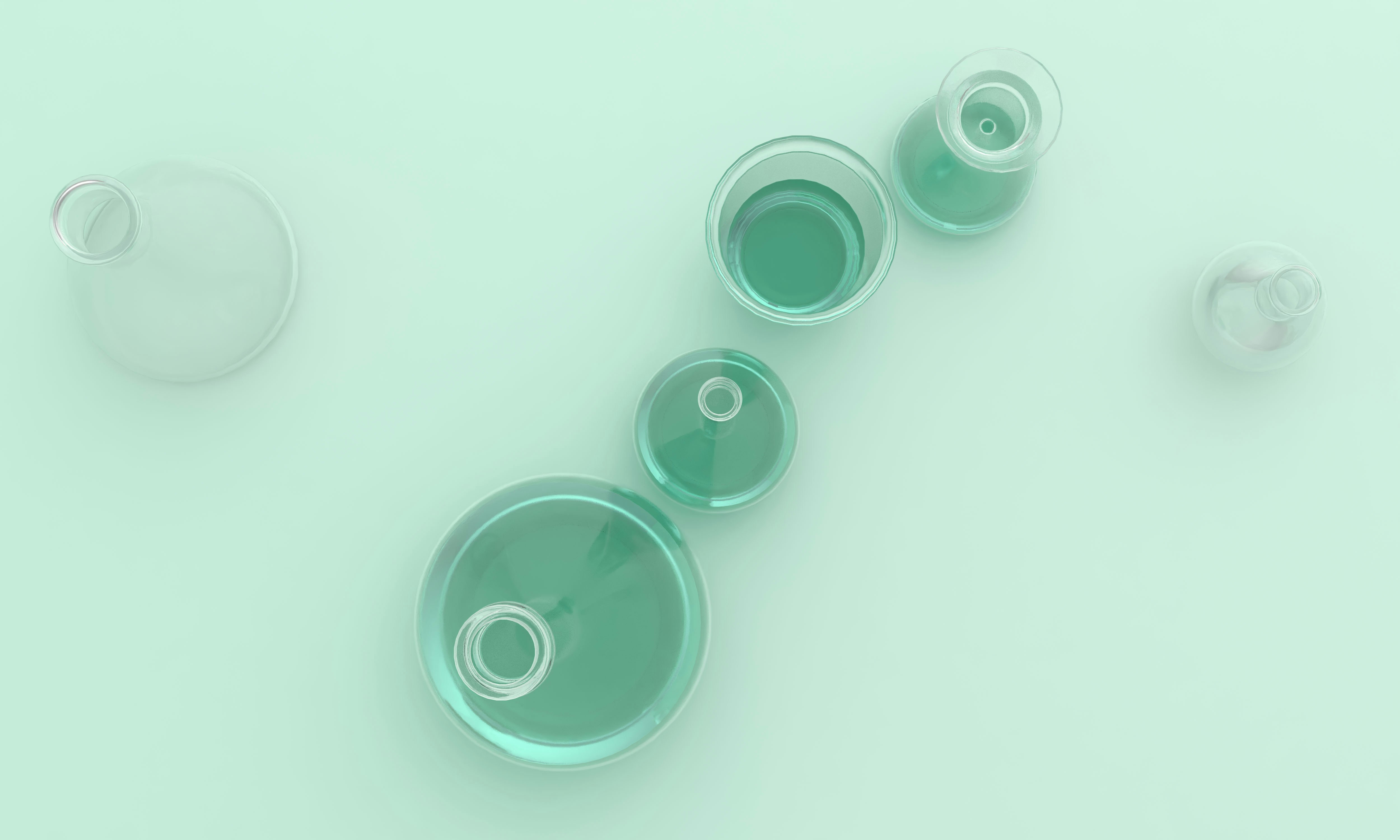 Büyüme ve İş Geliştirme